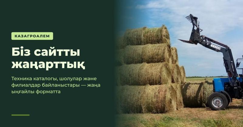 Біз сайтты жаңарттық